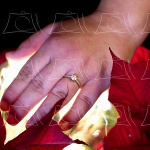 Arizona – 26 Product