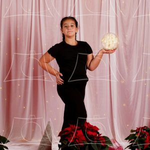 Boston – 2 Product