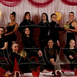 Phoenix – 1 Product