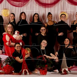 Phoenix – 3 Product