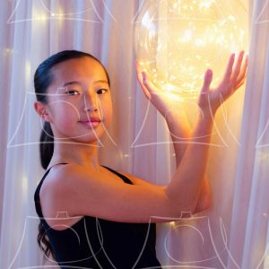 Michigan – 18 Product