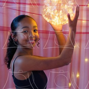 Michigan – 29 Product