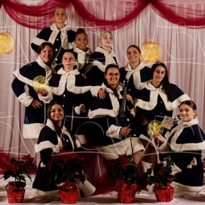 Phoenix – 55 Product