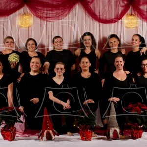 Nevada – 1 Product