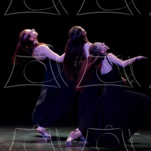 1-7-SHAKESPEARE-22 Product