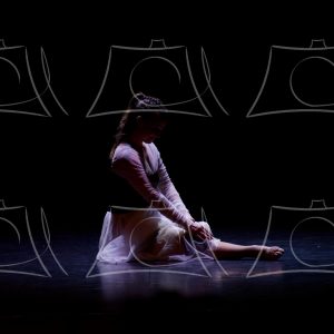 1-15-DANSE TA VIE-1 Product
