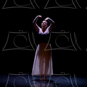 1-15-DANSE TA VIE-4 Product