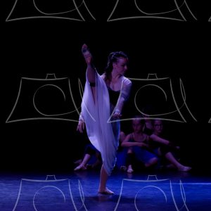 1-15-DANSE TA VIE-10 Product