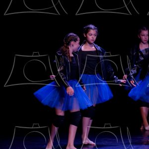 1-15-DANSE TA VIE-40 Product