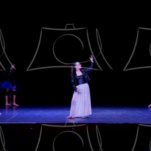 1-15-DANSE TA VIE-54 Product