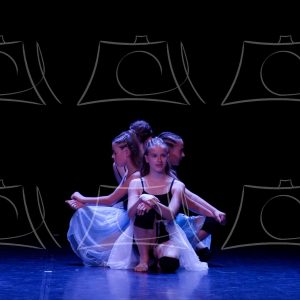 2-2-LA COMETE DE ALLE-2 Product