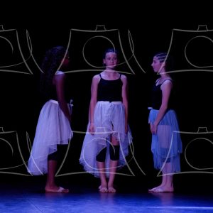 2-2-LA COMETE DE ALLE-3 Product