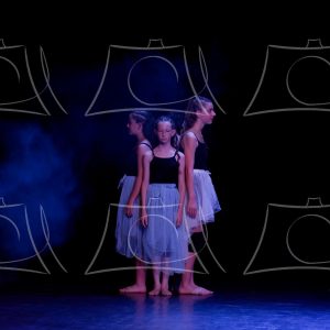 2-2-LA COMETE DE ALLE-4 Product