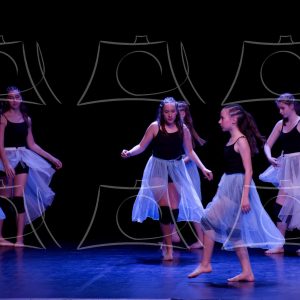 2-2-LA COMETE DE ALLE-12 Product