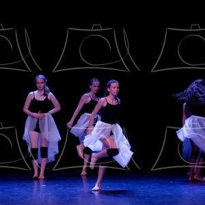 2-2-LA COMETE DE ALLE-20 Product