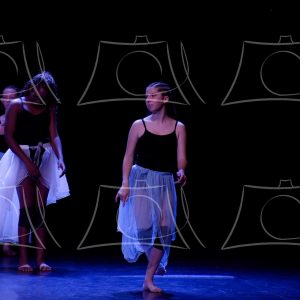 2-2-LA COMETE DE ALLE-22 Product