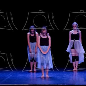 2-2-LA COMETE DE ALLE-24 Product