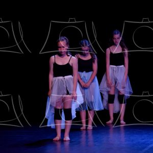 2-2-LA COMETE DE ALLE-25 Product